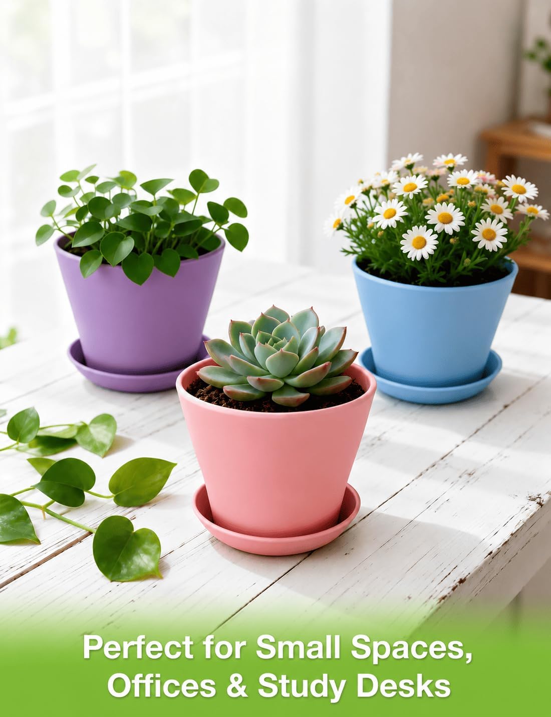 24 Pack Colorful 4 Inch Plant Pots with Saucers