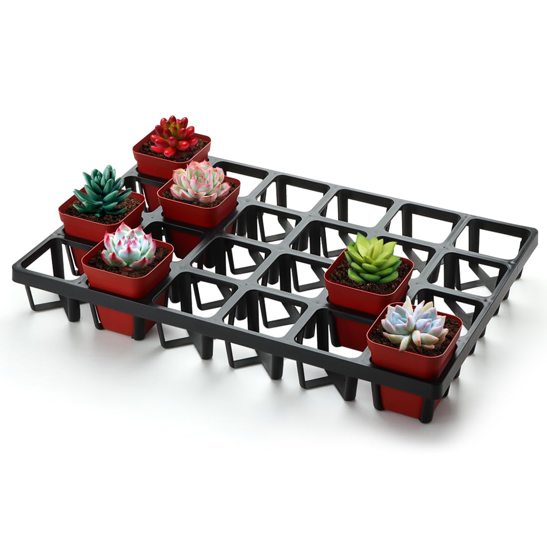 RooTrimmer 2.8 inch (7CM) Square Nursery Pots 120pcs (Green) and 24 Cell Nursery Pots Trays 5 Pack, Plastic Seedling Starter Tray with Drain Holes for Carrying and Holding Plant Pot(17"x11"x1.6")