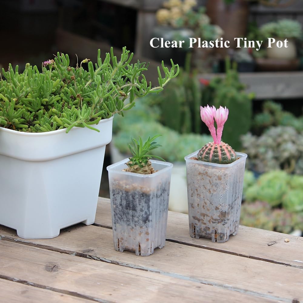 180 Pack 1.95 Inch Tiny Clear Plastic Square Nursery Pot