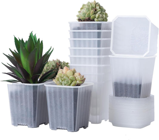 30Pcs 3 Inch Clear Nursery Pots with Saucers, Square Plastic Plant Pot