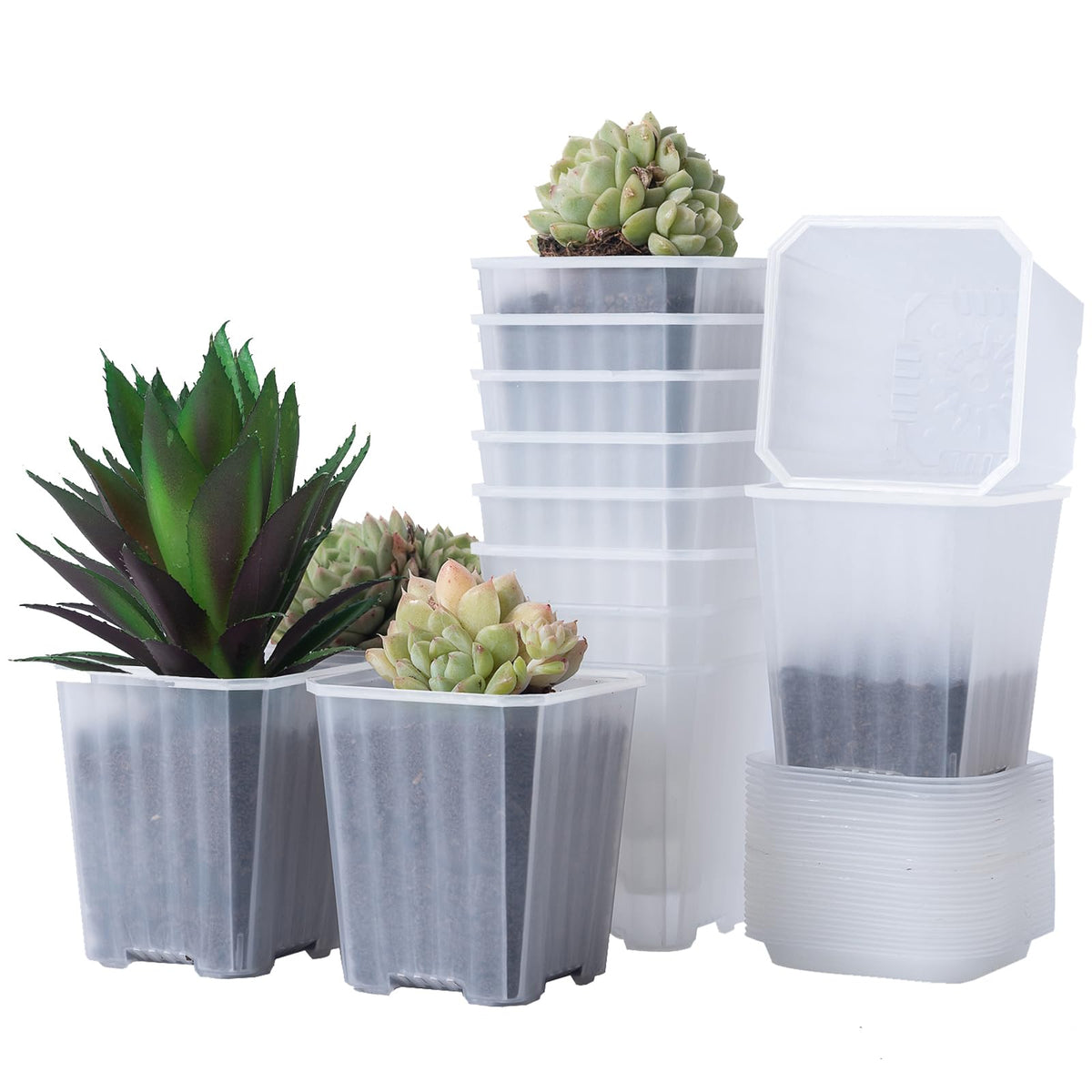 30Pcs 3 Inch Clear Nursery Pots with Saucers, Square Plastic Plant Pot