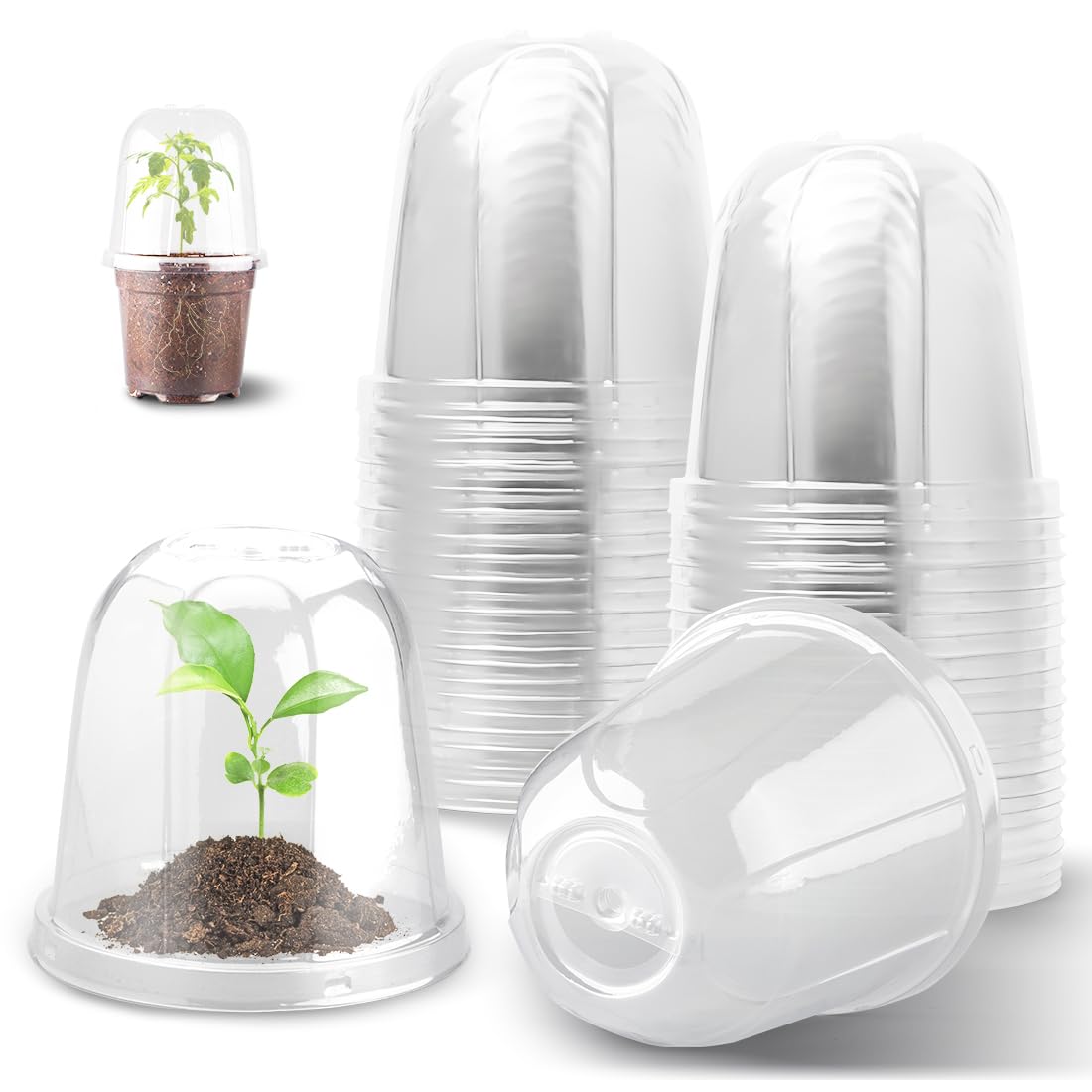 RooTrimmer Transparent Nursery Pots 3.5Inch with Humidity Domes for Seeds Starting, Clear Plastic Plant Pots with Drainage Holes (3.54Inch, 40Pcs,Clear Pots with Lids)