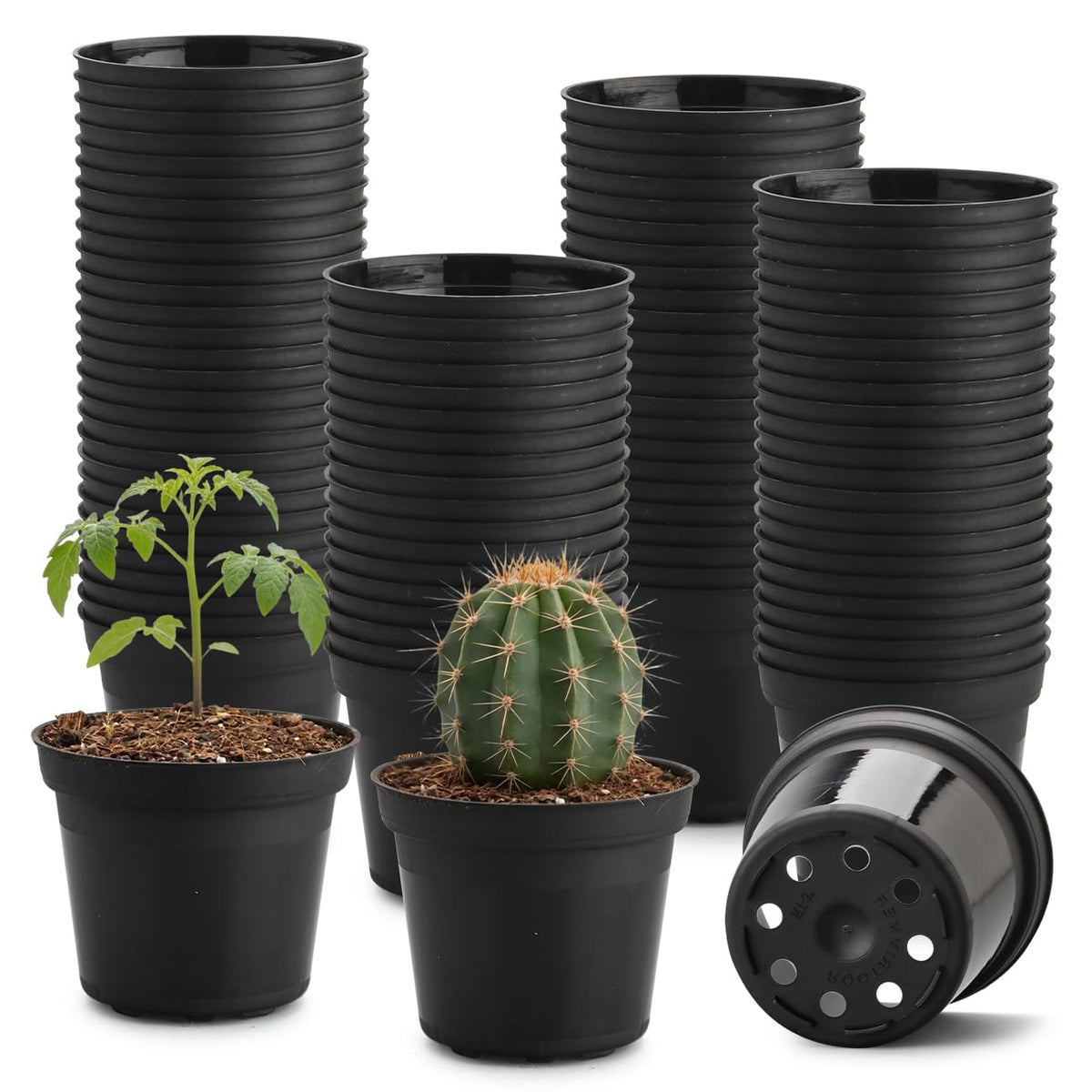 100 Pack 2.5" Clear Nursery Pots for Plants Seeds Starter Germination