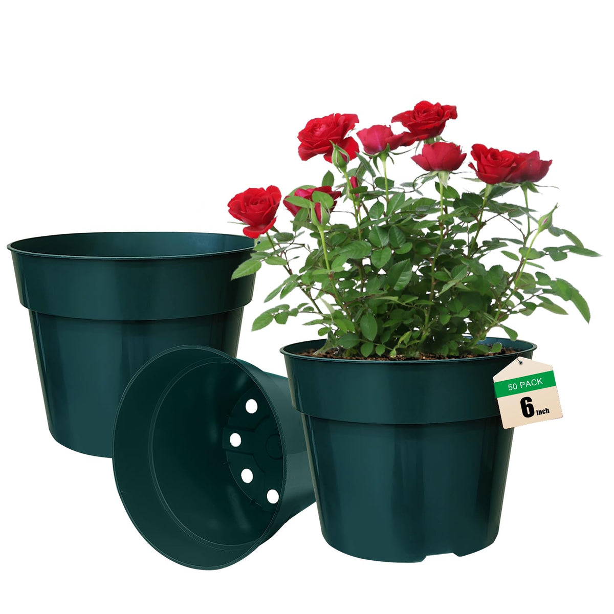RooTrimmer 40 Pack 4 Inch Plant Nursery Pots with Mesh Pad, Sturdy Plastic Flower Planter Pots with Drainage Holes, Seed Starter Pots for Planting Seedings Cuttings Succulents Indoor Ourdoor, Black