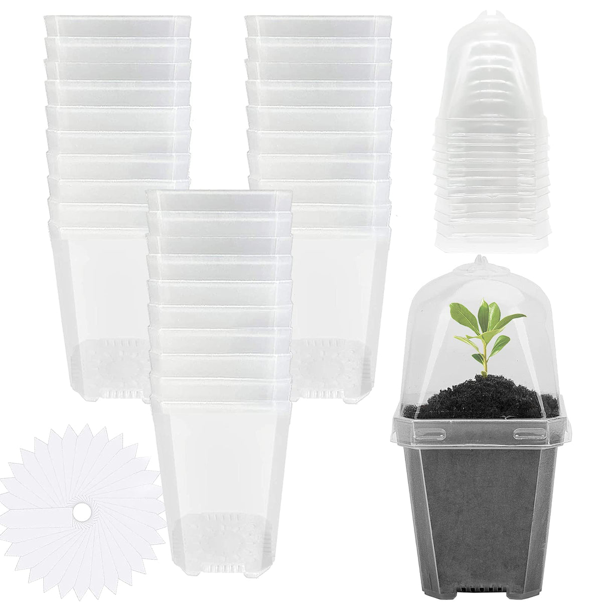 10 Pcs 3" Clear Plant Nursery Pot with Humidity Dome, Plastic Gardening Pot