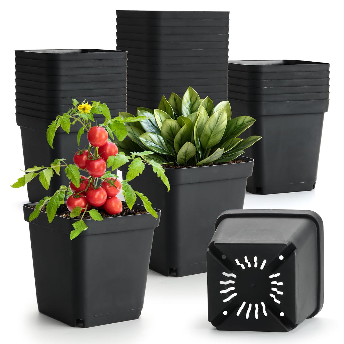 Nursery Pots 6 Inch 40 Pcs, Plastic Seed Starting Pot with Drainage Holes, Sturdy Seedling pots for Planting, Cuttings (Black)