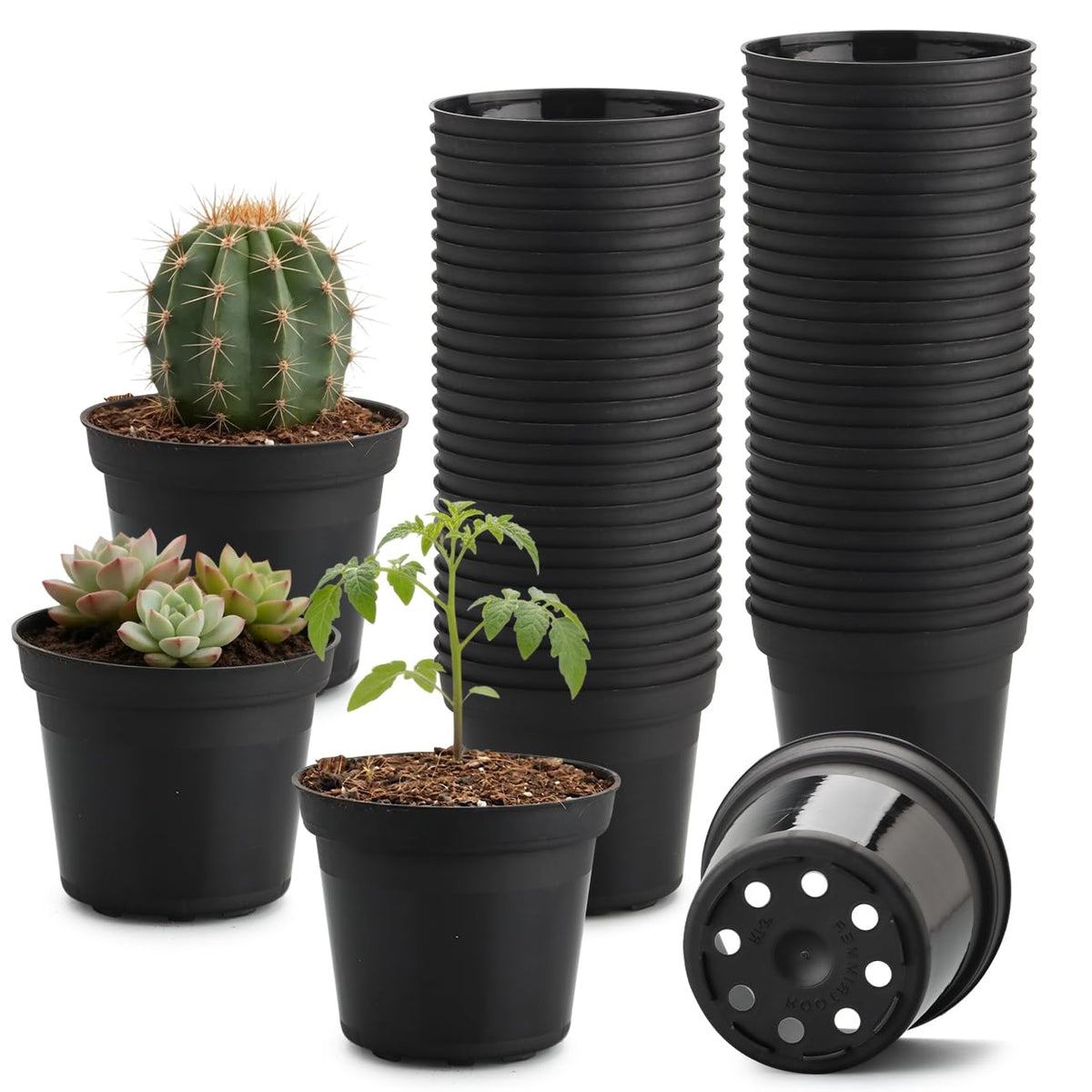 100 Pack 2.5" Clear Nursery Pots for Plants Seeds Starter Germination