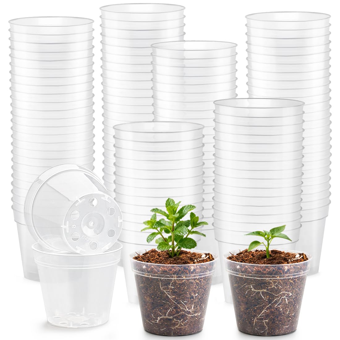 100 Pack 2.5" Clear Nursery Pots for Plants Seeds Starter Germination