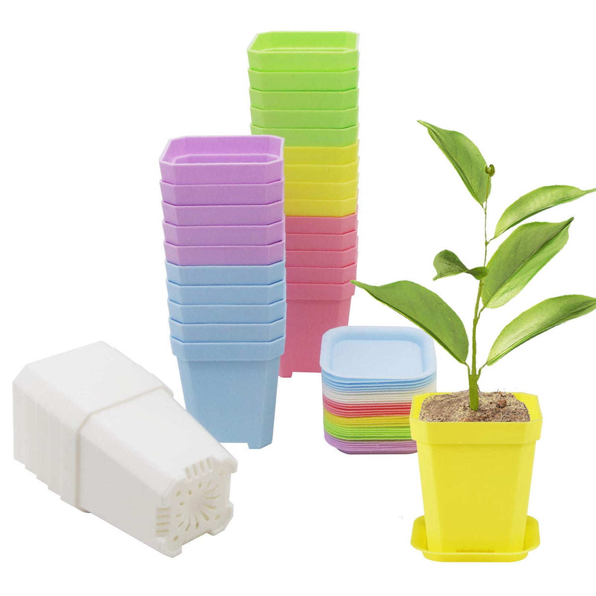 30Pcs 3 Inch Clear Nursery Pots with Saucers, Square Plastic Plant Pot