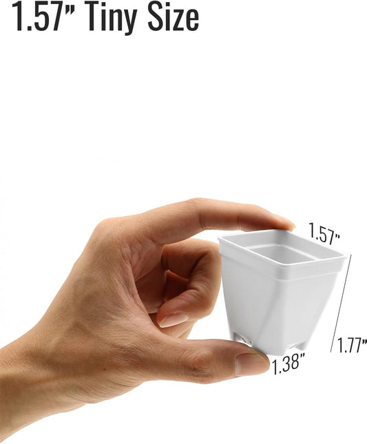 1.5-Inch Nursery Pots, Thick-Walled PP Plastic, for Home, Office & Garden, Seed Starting & Propagation (48, White)