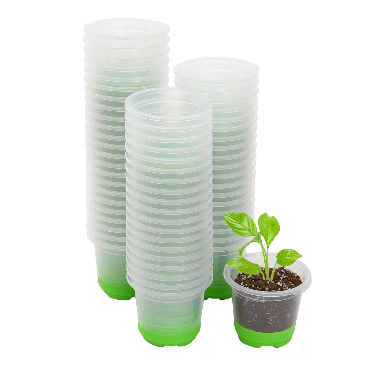 MIXC Clear Nursery Pots with Silicone Base, 4-Inch, 30-Pack