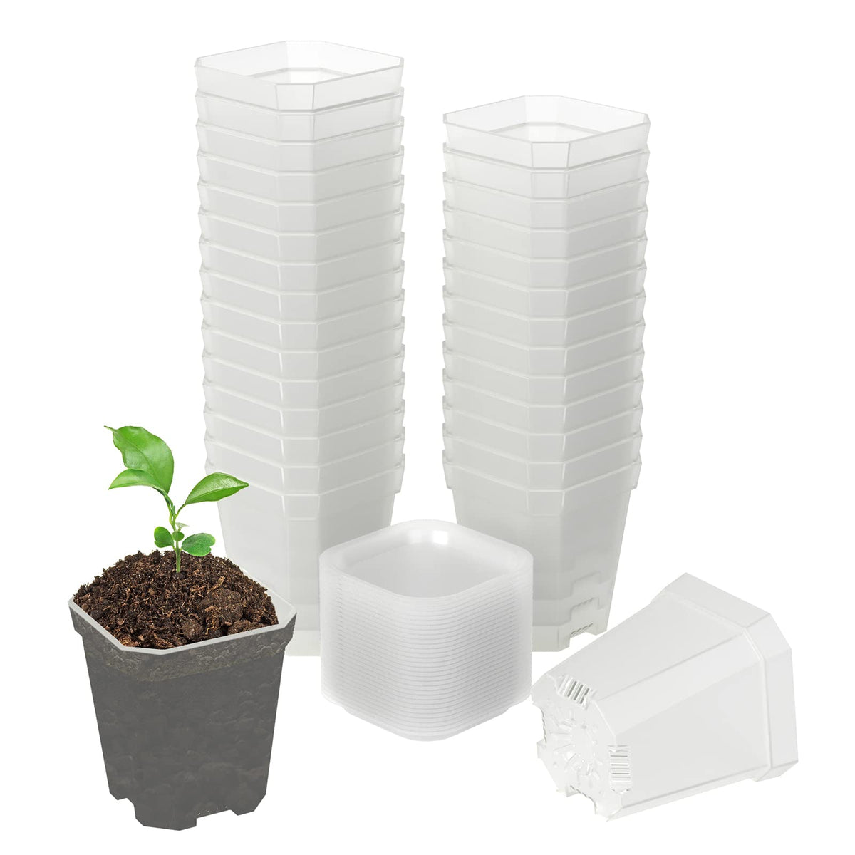 30Pcs 3 Inch Clear Nursery Pots with Saucers, Square Plastic Plant Pot