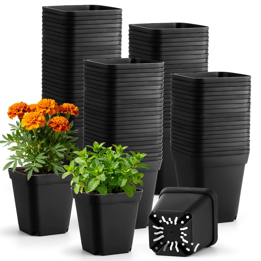 Nursery Pots 6 Inch 40 Pcs, Plastic Seed Starting Pot with Drainage Holes, Sturdy Seedling pots for Planting, Cuttings (Black)