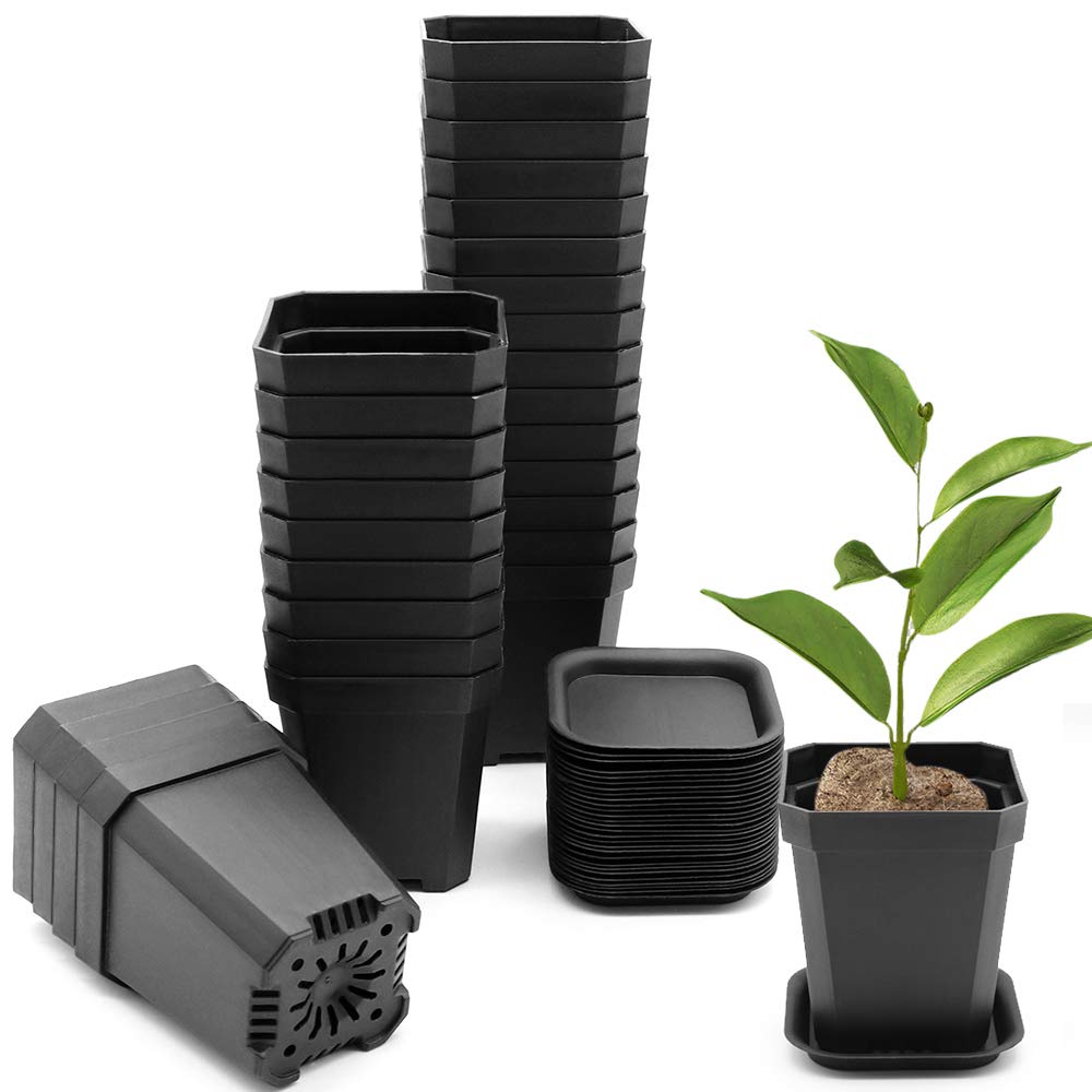 30Pcs 3 Inch Clear Nursery Pots with Saucers, Square Plastic Plant Pot