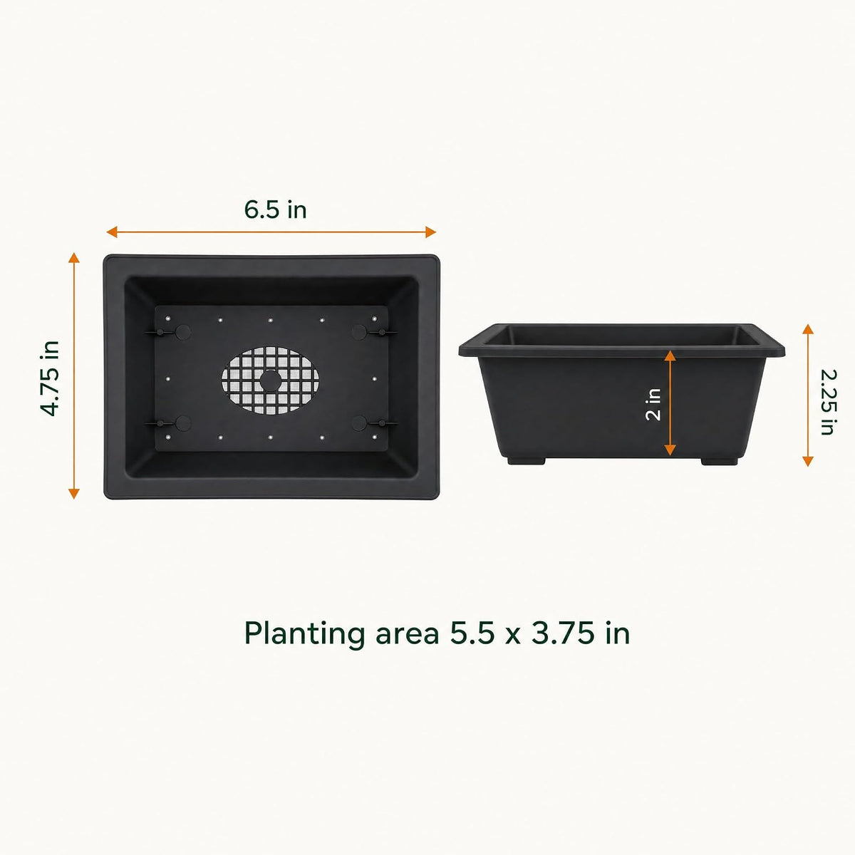 Shallow Bonsai Pots with Drainage Holes and Trays, 6 Inch Training, 3 Pack