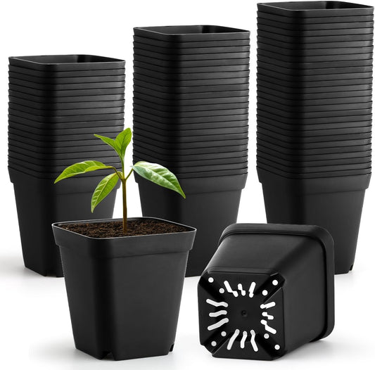 60 Pcs Nursery Pots 2.7 Inch, Plastic Seed Starting Pot with Drainage Holes, Sturdy Seedling pots for Planting, Cuttings (Black)