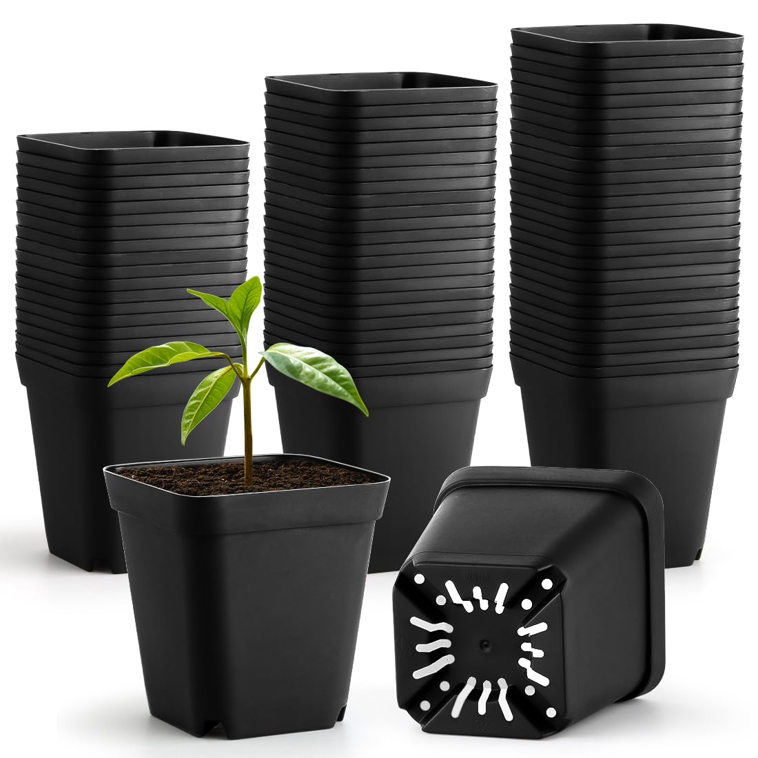 Nursery Pots 6 Inch 40 Pcs, Plastic Seed Starting Pot with Drainage Holes, Sturdy Seedling pots for Planting, Cuttings (Black)