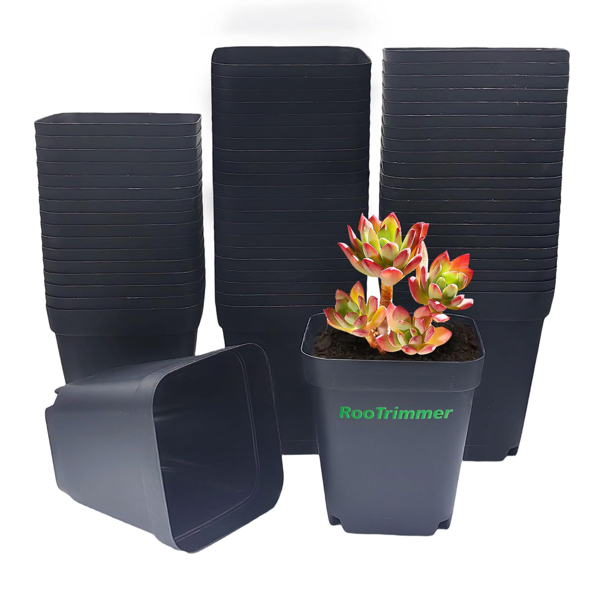 RooTrimmer Square Nursery Pots with Drainage Holes, 2.75 Inch, 120 Pack