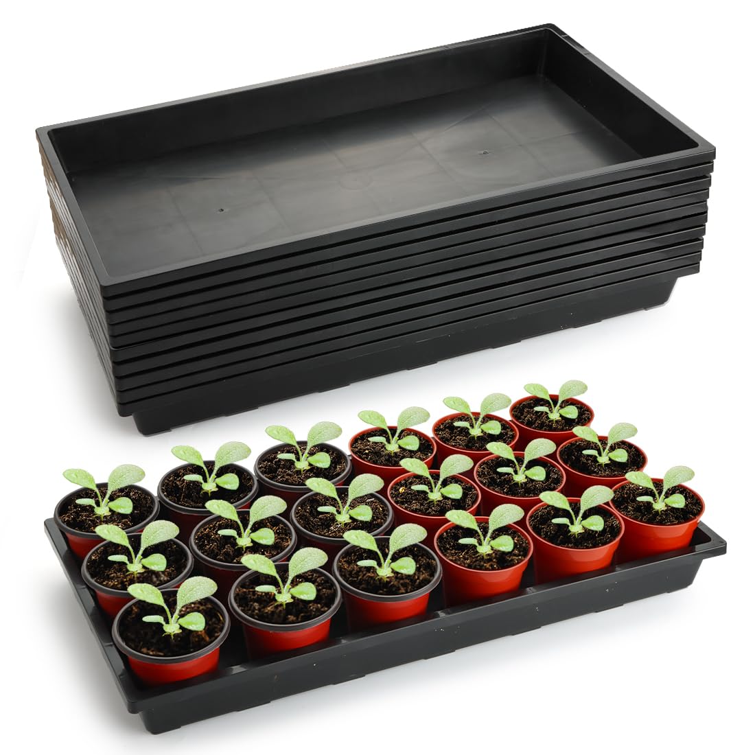 RooTrimmer 1020 Nursery Pot Trays 5 Pack, Plastic Flat Seed Starter Tray, Reusable Seedling Starting Tray for Holding and Carrying Plant Pots (Black)