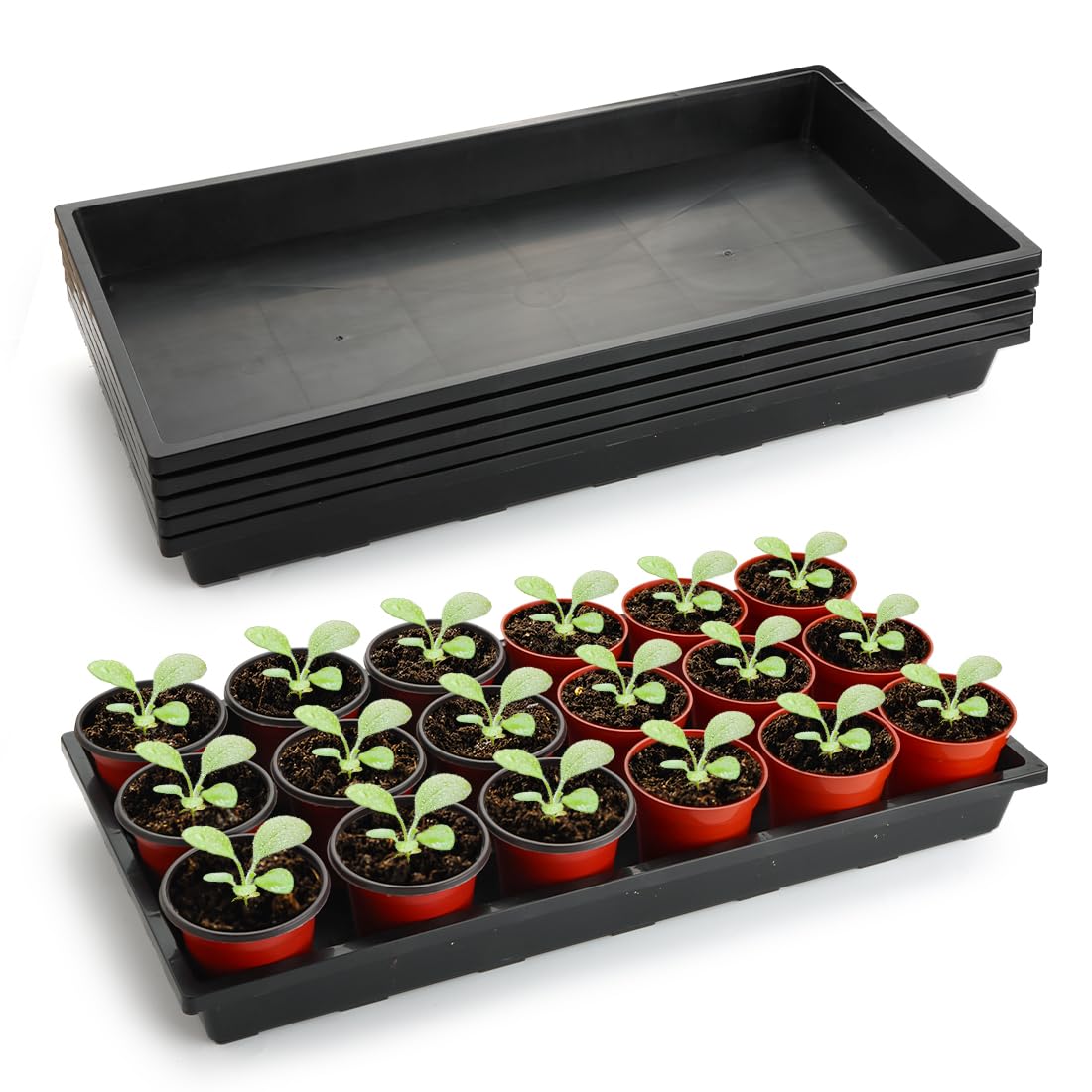 RooTrimmer 1020 Flat Seed Starter Trays 10 Pack, Plastic Nursery Pots Trays & Seeds Potting Plants Tray, Durable Carrying Seedling Starting Tray for Planting (Black)