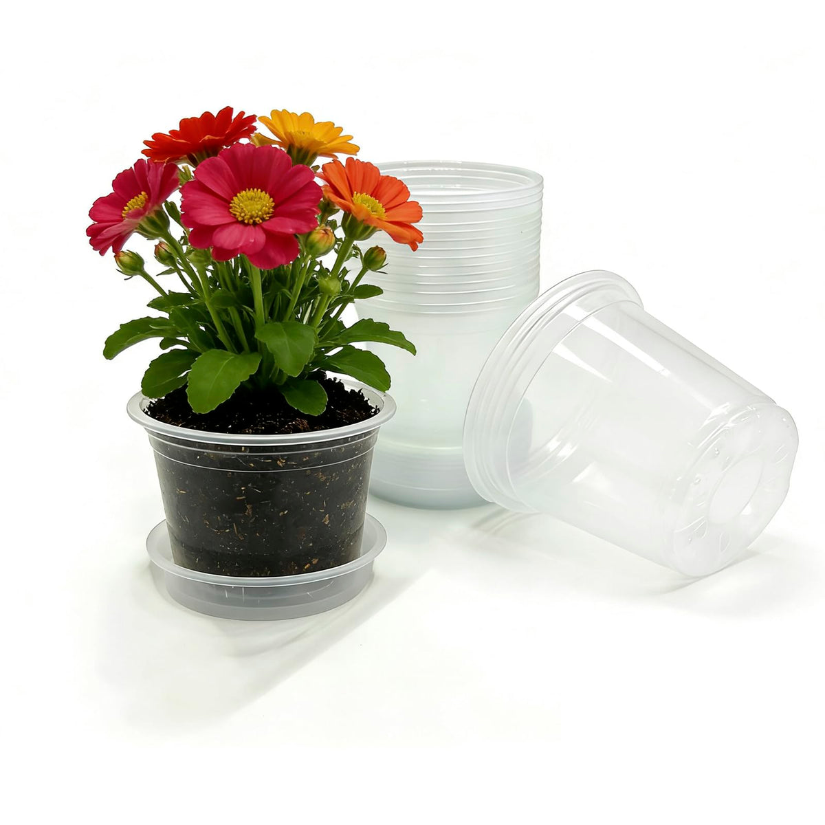 7/6/5/4 Inch Clear Nursery Pots with Drainage Hole 20Pcs,Plastic Plant Pot