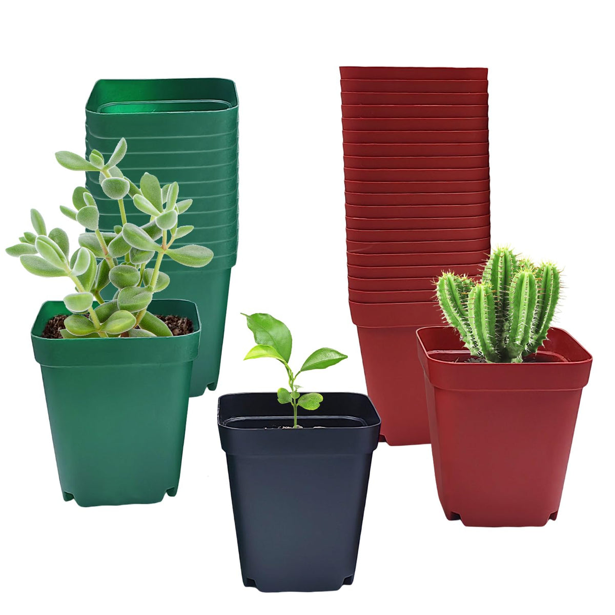 RooTrimmer 100 Pack Plant Nursery Pots 3.15 Inch, Durable Square Seedling Pots with Drainage Holes, Reusable Small Plastic Flower Pots for Seed Starting, Transplanting, Herb Garden