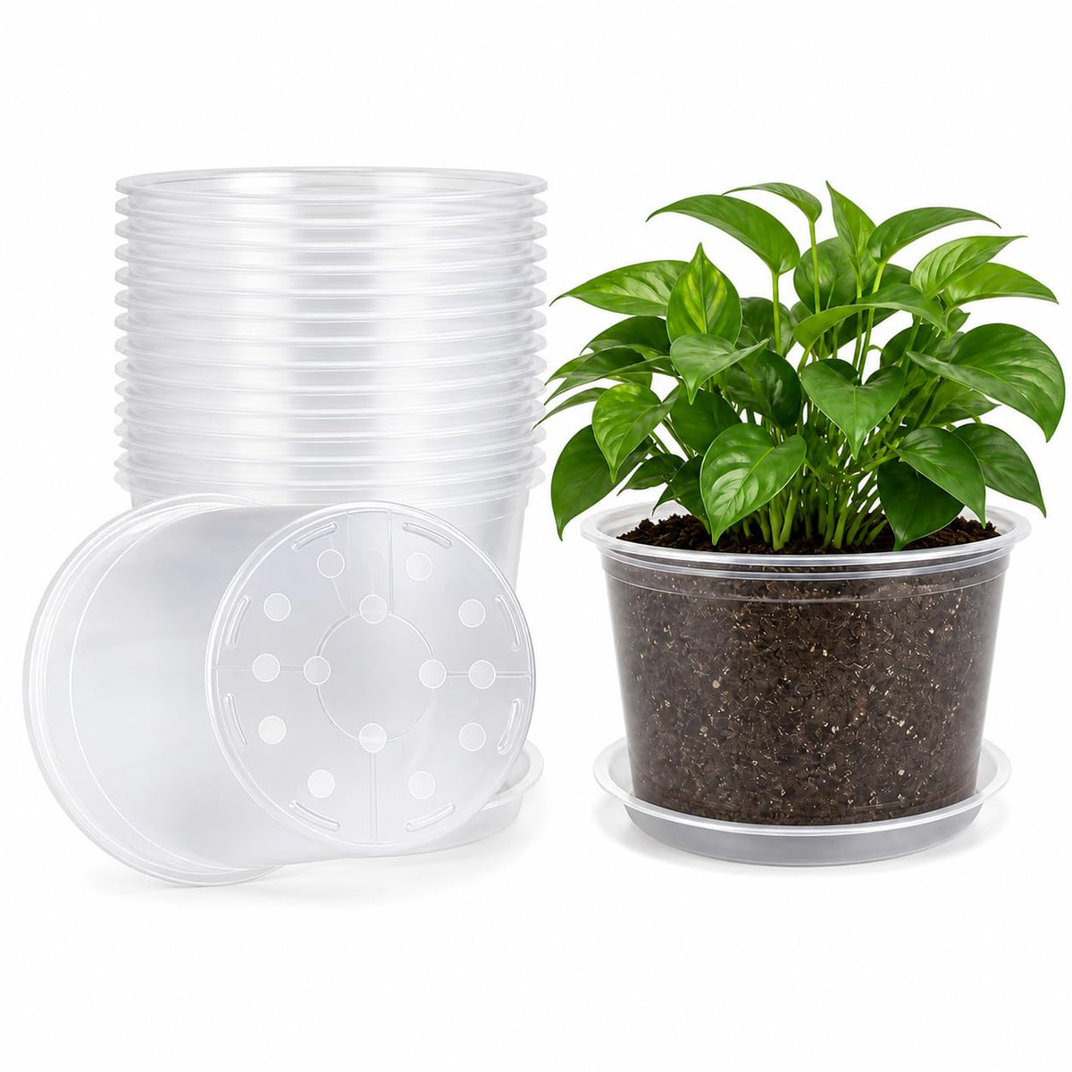 MIXC Clear Nursery Pots with Drainage Holes, 7/5/4/3.5 Inch 36 Pack