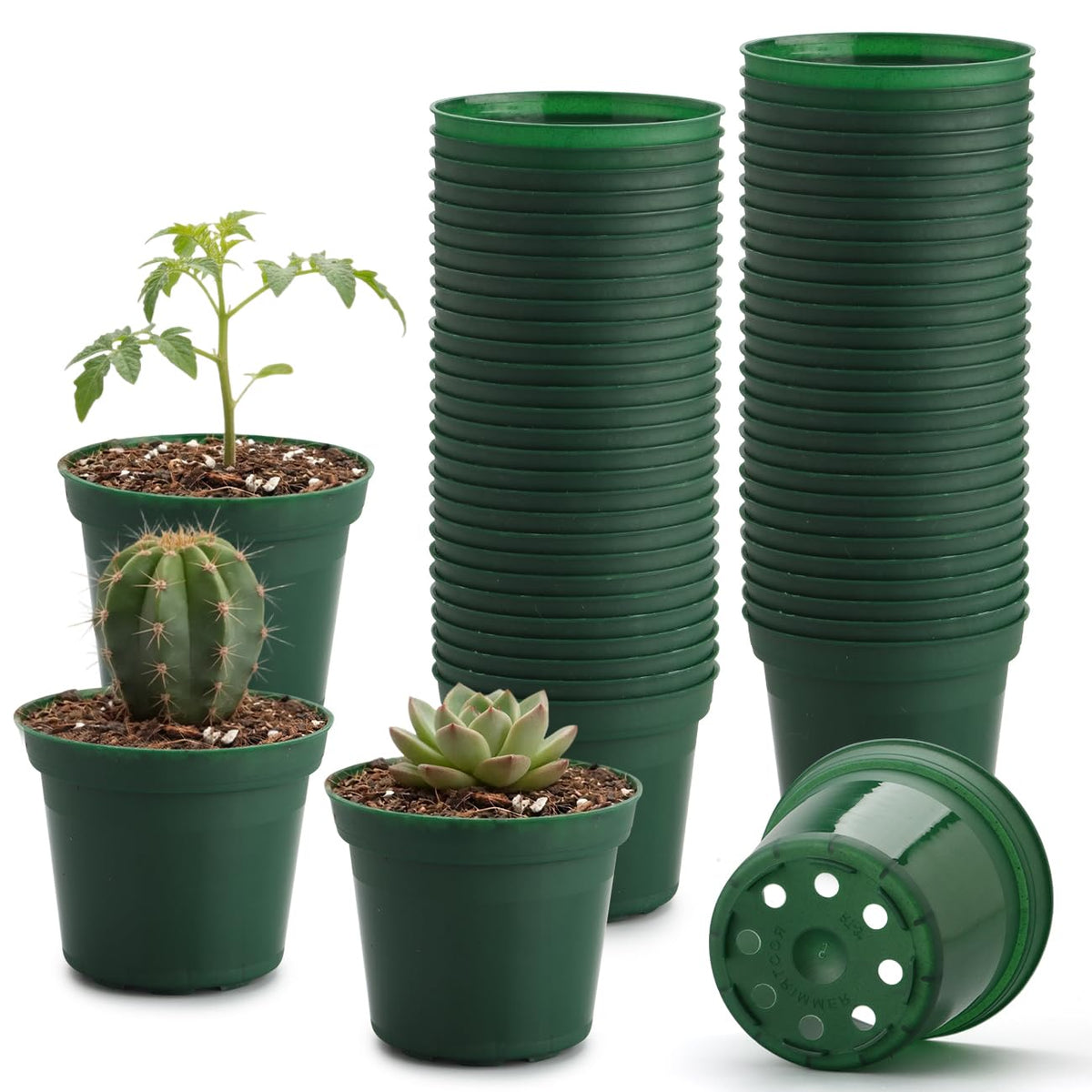 100 Pack 2.5" Clear Nursery Pots for Plants Seeds Starter Germination