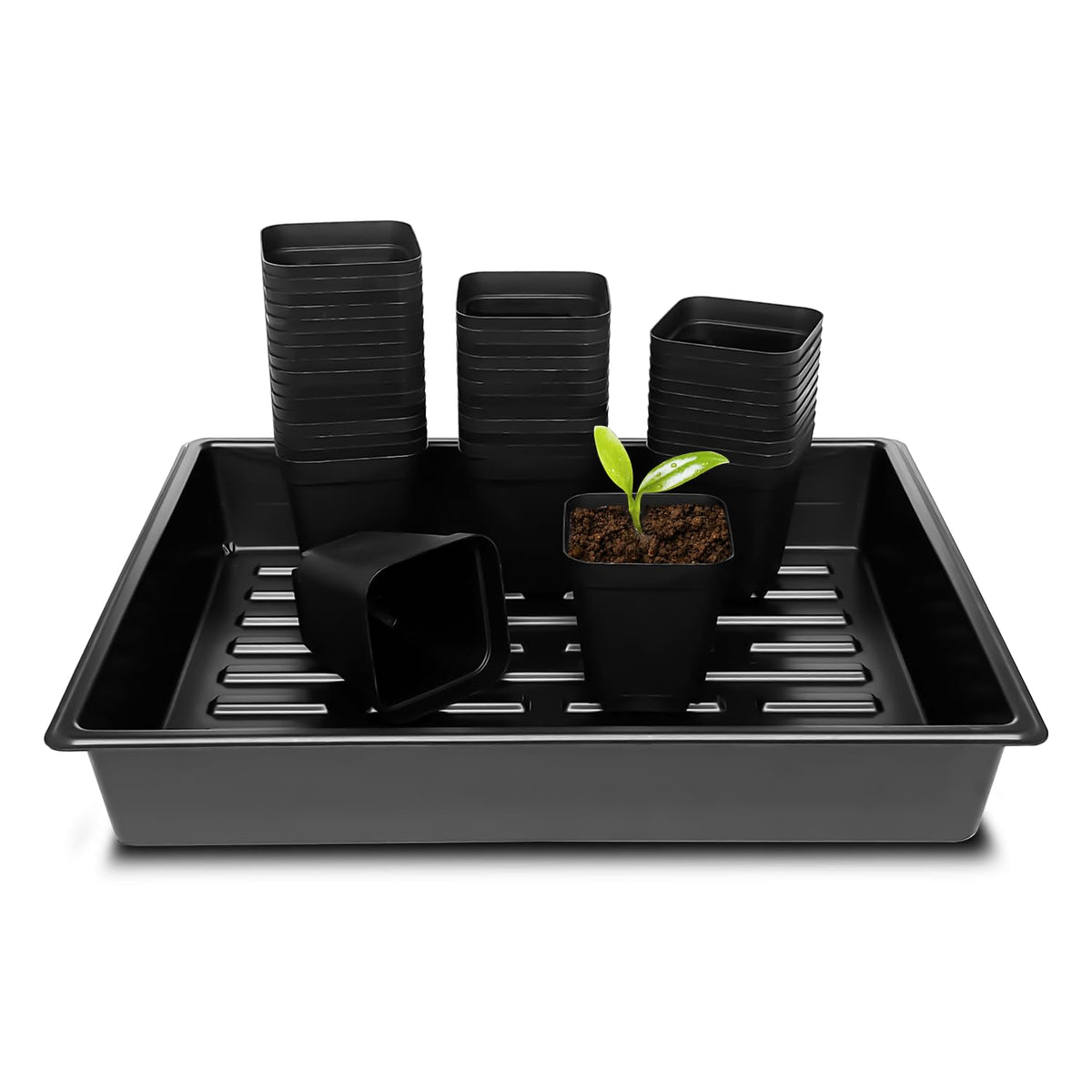 RooTrimmer 10 Pack 2.5 inch Square Pots 3.5 inch Deep 20 Cell Seedling Plug Trays with Water Collection Nursery Trays (15"x11"x3") for Seeds Starting and Transplanting
