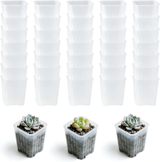 50 Pack 1.6'' Square Clear Nursery Pots, Mini Transparent Planter