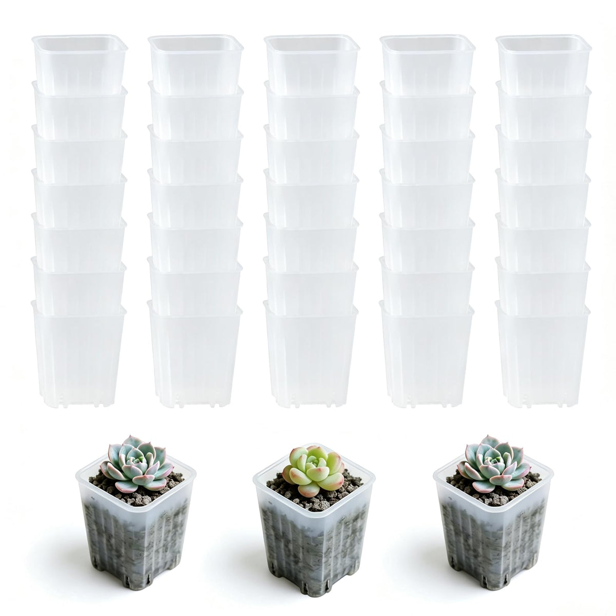 50 Pack 1.6'' Square Clear Nursery Pots, Mini Transparent Planter