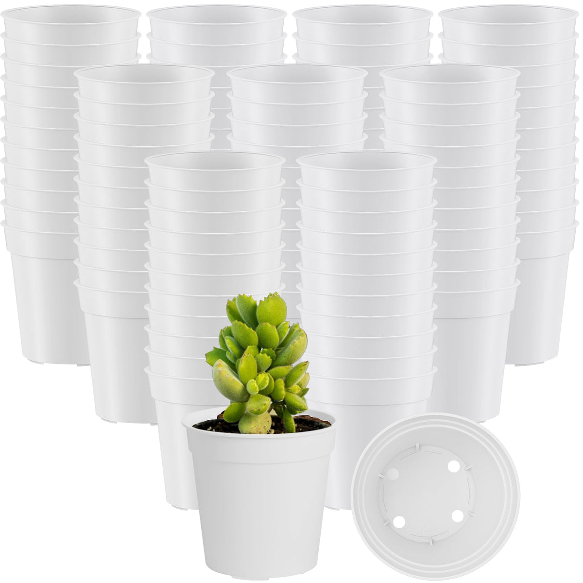Yaomiao 200 Pcs 2 Inch Clear Mini Nursery Pots with Drainage Holes