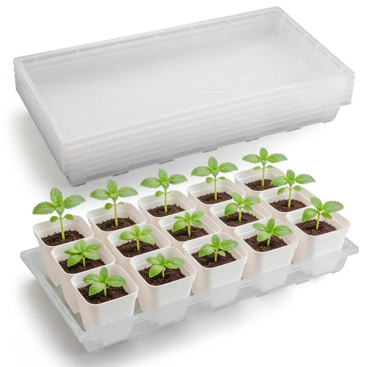 RooTrimmer 1020 Flat Seed Starter Trays 10 Pack, Plastic Nursery Pots Trays & Seeds Potting Plants Tray, Durable Carrying Seedling Starting Tray for Planting (Black)