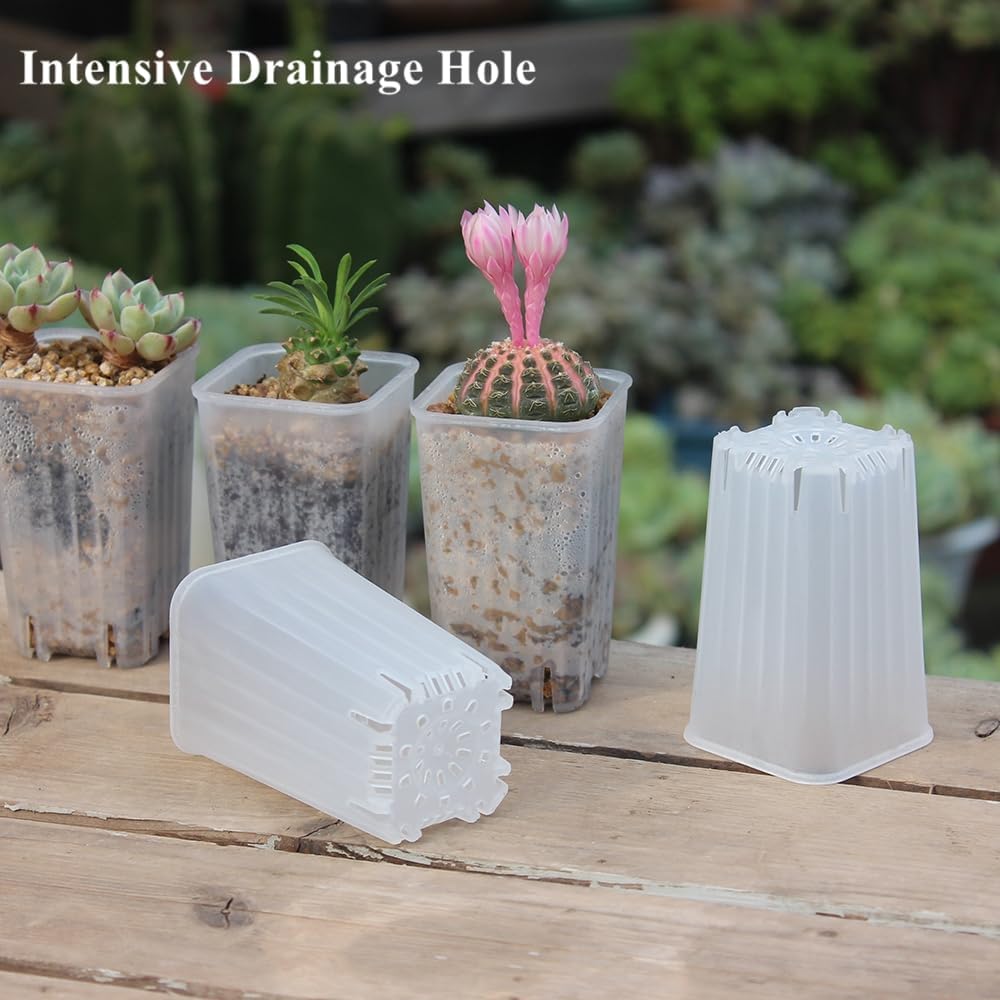 180 Pack 1.95 Inch Tiny Clear Plastic Square Nursery Pot