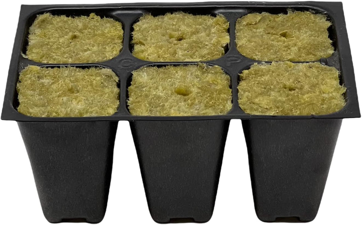 Seed Starter Tray, 720 Cells (120 Trays - 6 Cells Per Tray) + Plant Stakes