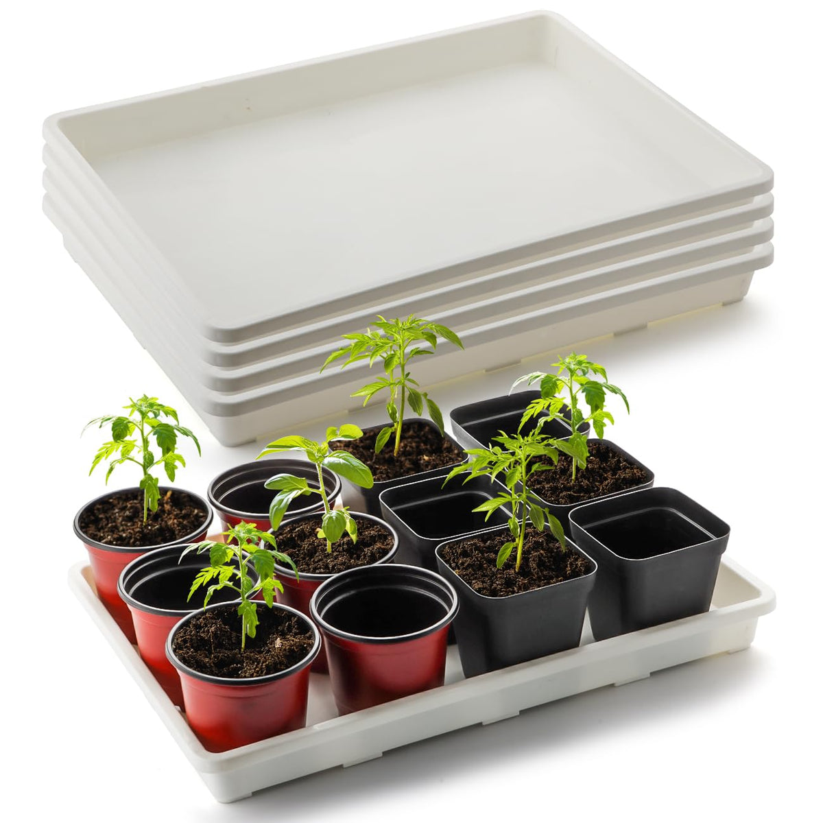 RooTrimmer 2.8 inch (7CM) Square Nursery Pots 120pcs (Green) and 24 Cell Nursery Pots Trays 5 Pack, Plastic Seedling Starter Tray with Drain Holes for Carrying and Holding Plant Pot(17"x11"x1.6")