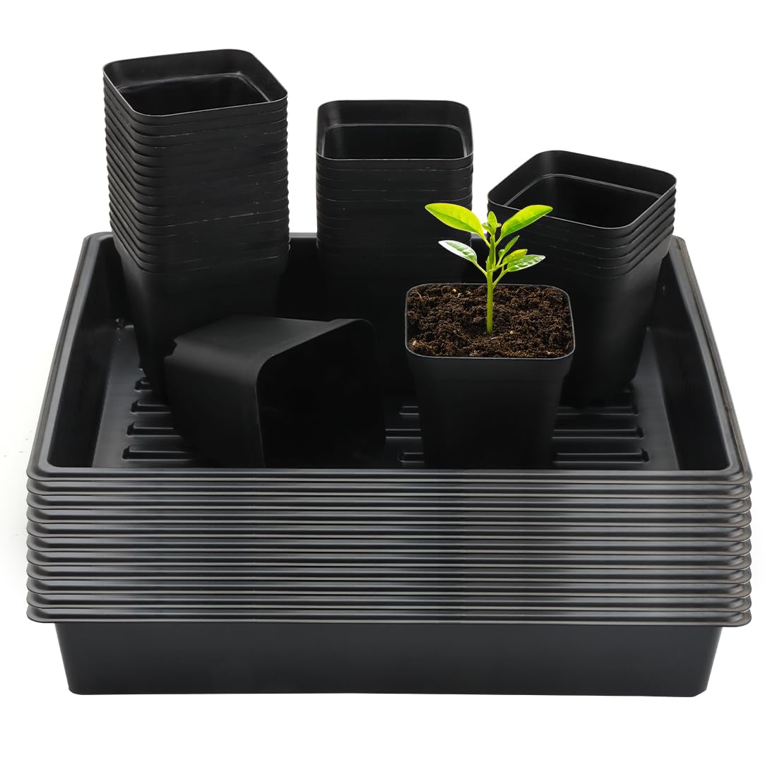 RooTrimmer 10 Pack 2.5 inch Square Pots 3.5 inch Deep 20 Cell Seedling Plug Trays with Water Collection Nursery Trays (15"x11"x3") for Seeds Starting and Transplanting