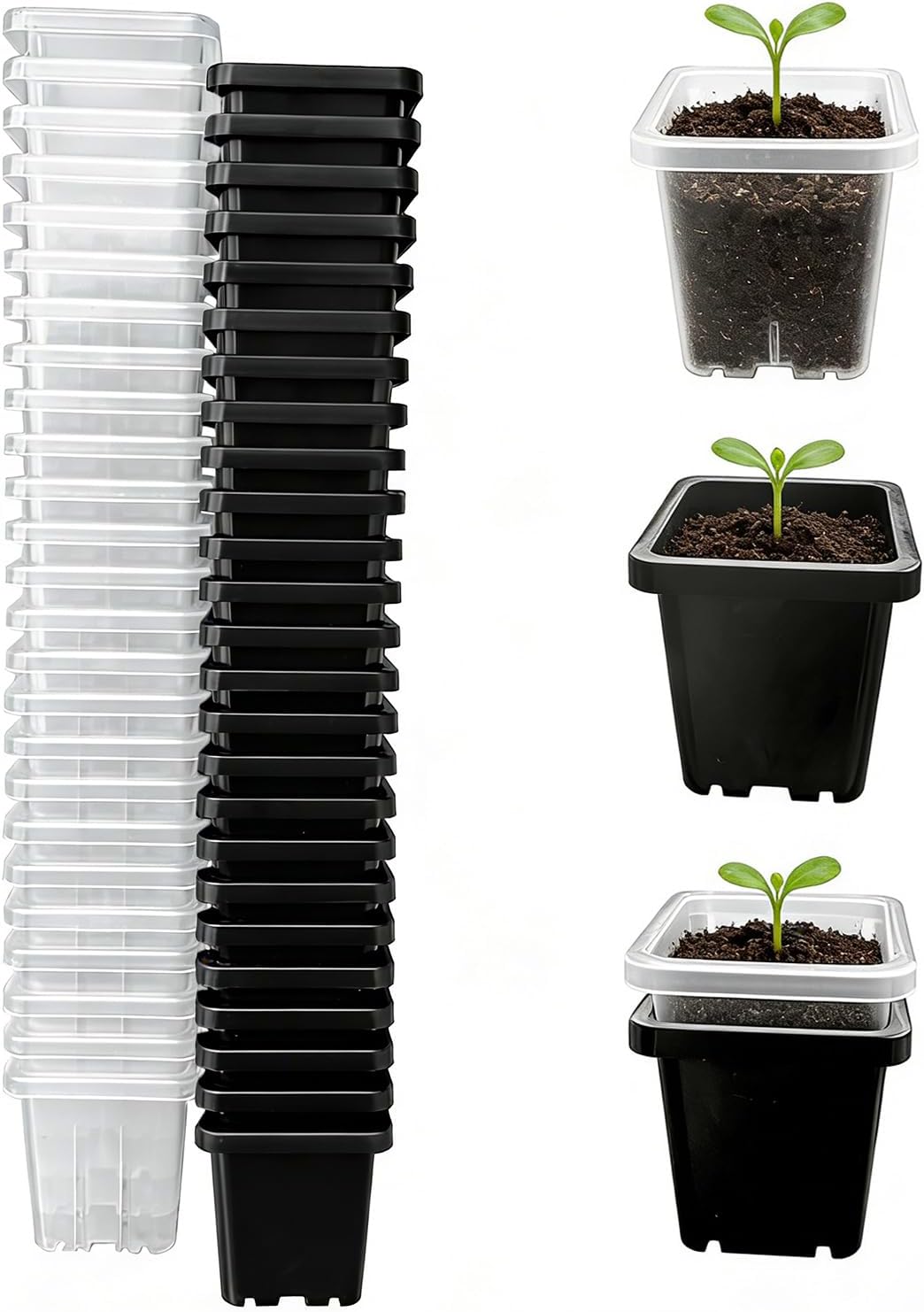 2 Inch Square Nursery Pots, 50 Pack (25 Clear + 25 Black) Seedling Starter Pots, Plastic Plant Pots with Drainage Holes, for Seed Germination, Root View, and Light Blocking