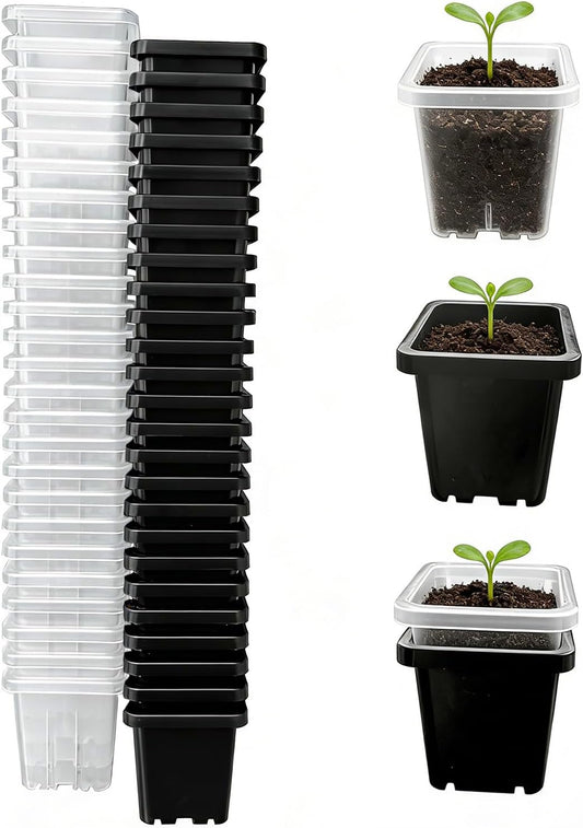 2 Inch Square Nursery Pots, 50 Pack (25 Clear + 25 Black) Seedling Starter Pots, Plastic Plant Pots with Drainage Holes, for Seed Germination, Root View, and Light Blocking