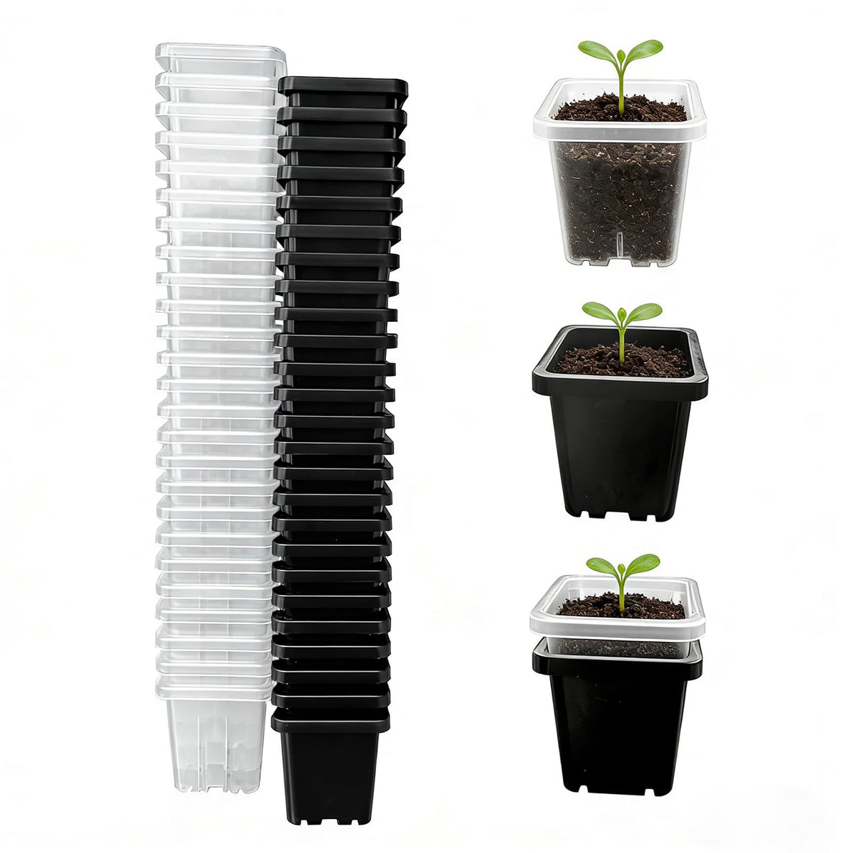 2 Inch Square Nursery Pots, 50 Pack (25 Clear + 25 Black) Seedling Starter Pots, Plastic Plant Pots with Drainage Holes, for Seed Germination, Root View, and Light Blocking