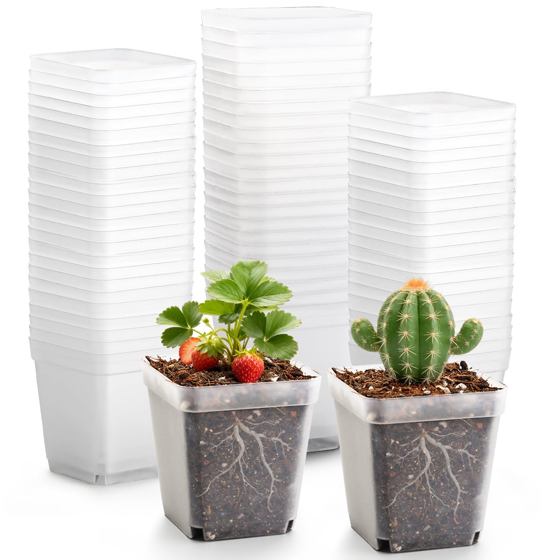 RooTrimmer Square Nursery pots 4 Inches 60Pcs, Seedling Plastic Seeds propogation Growing Pots (Black,4Inches,60Pcs)