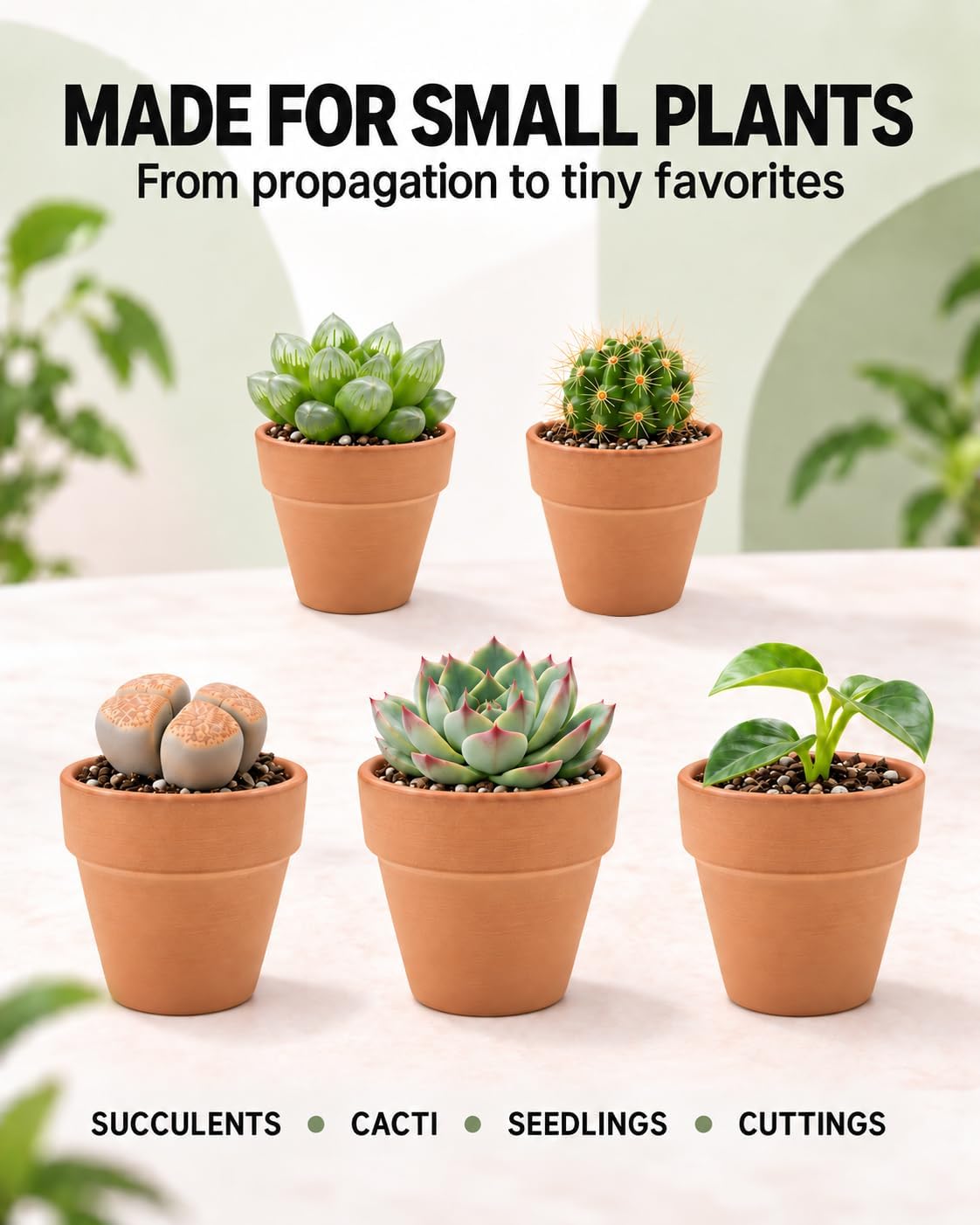 Riseuvo 2 Inch Terracotta Pots, 32 Pack Mini Clay Pots with Drainage Holes