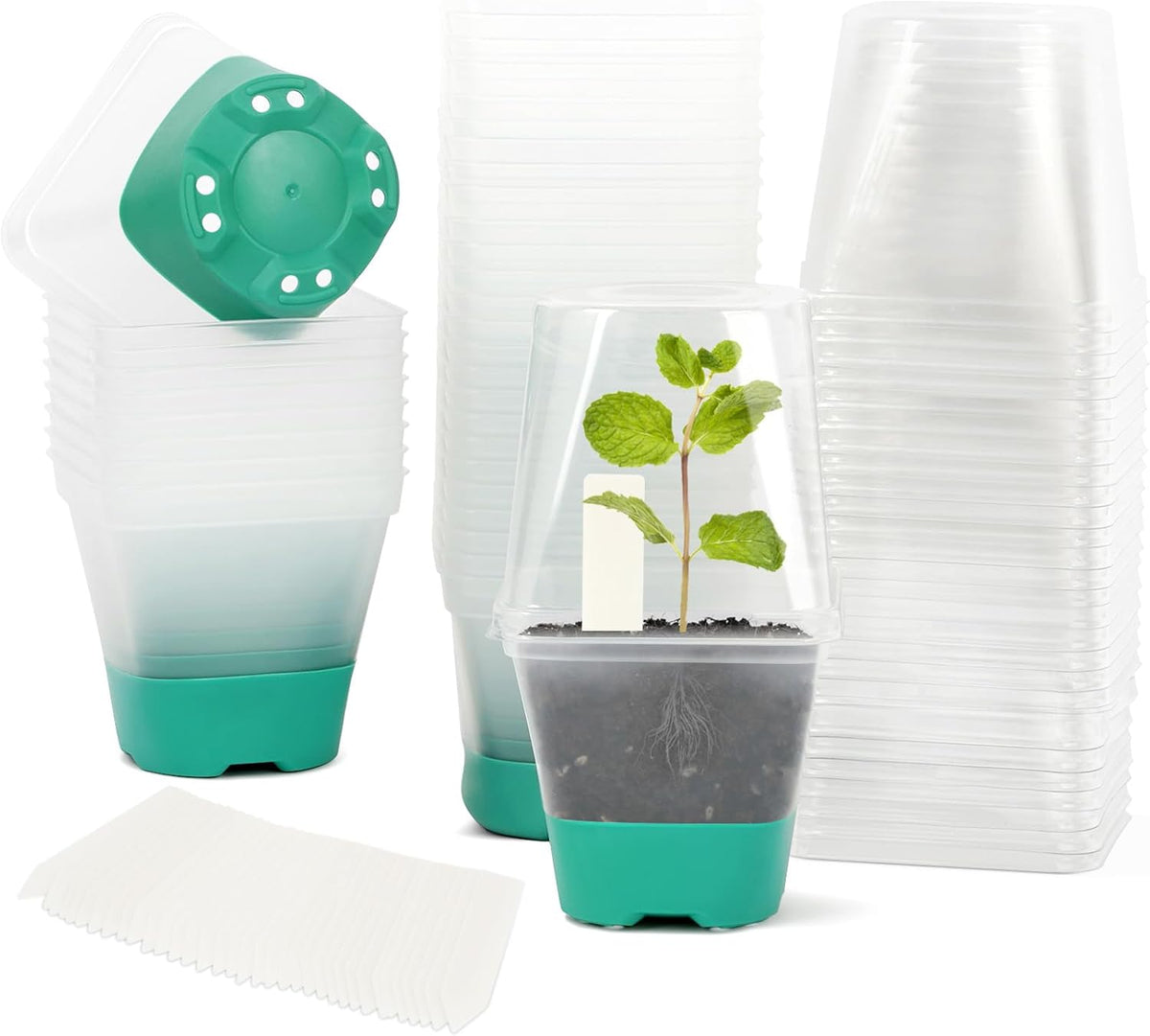 Sankoly 30 Packs Clear Nursery Pots with Plant Labels 3 Inch Plastic Plant Pot with Humidity Domes Silicone Base and Drainage Holes Reusable Seedling Pots