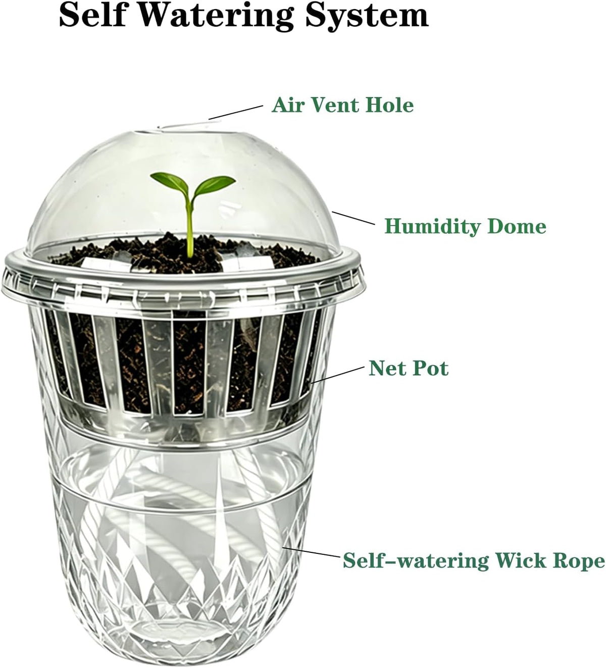 24 Pack 4 inch 500 ML Clear Self Watering Plant Pots, Transparent Plant Germination Nursery Pot, Seed Starting Container for Indoor Outdoor Planting Seedling, Diamond-Patterned