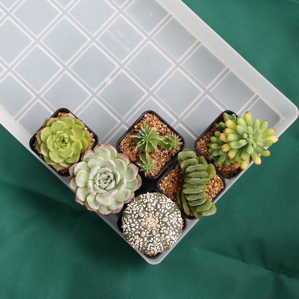 120 Pack 2.40 Inch Small Black Plastic Square Nursery Pot