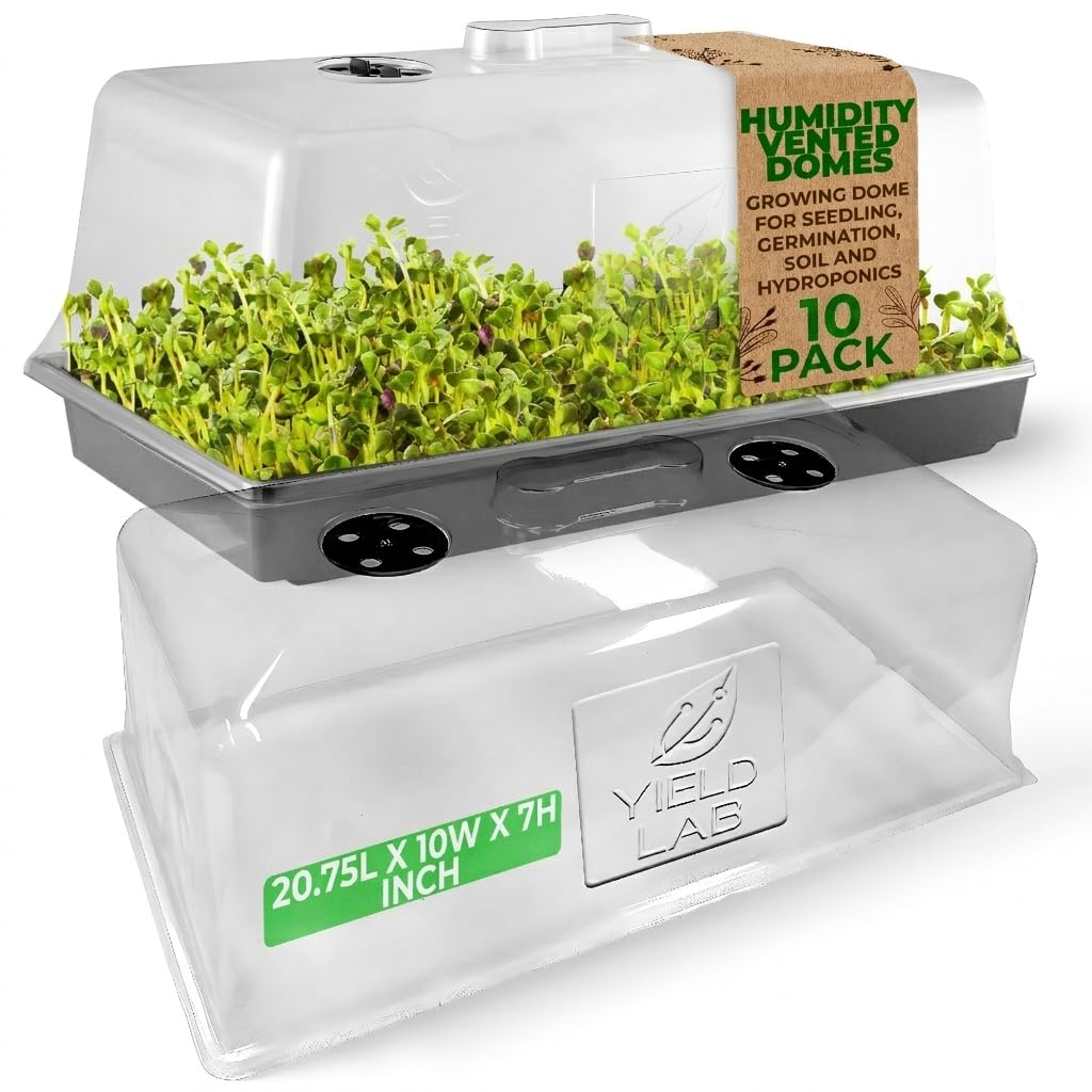 10x20 Inch Black Plastic 10 Pack Plant Propagation Tray No Holes