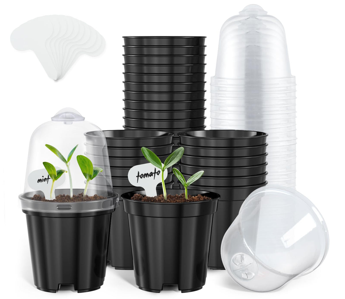 homenote 3/4/5 Inch Clear Nursery Pots with Drainage and 20 Labels (30 Pcs)