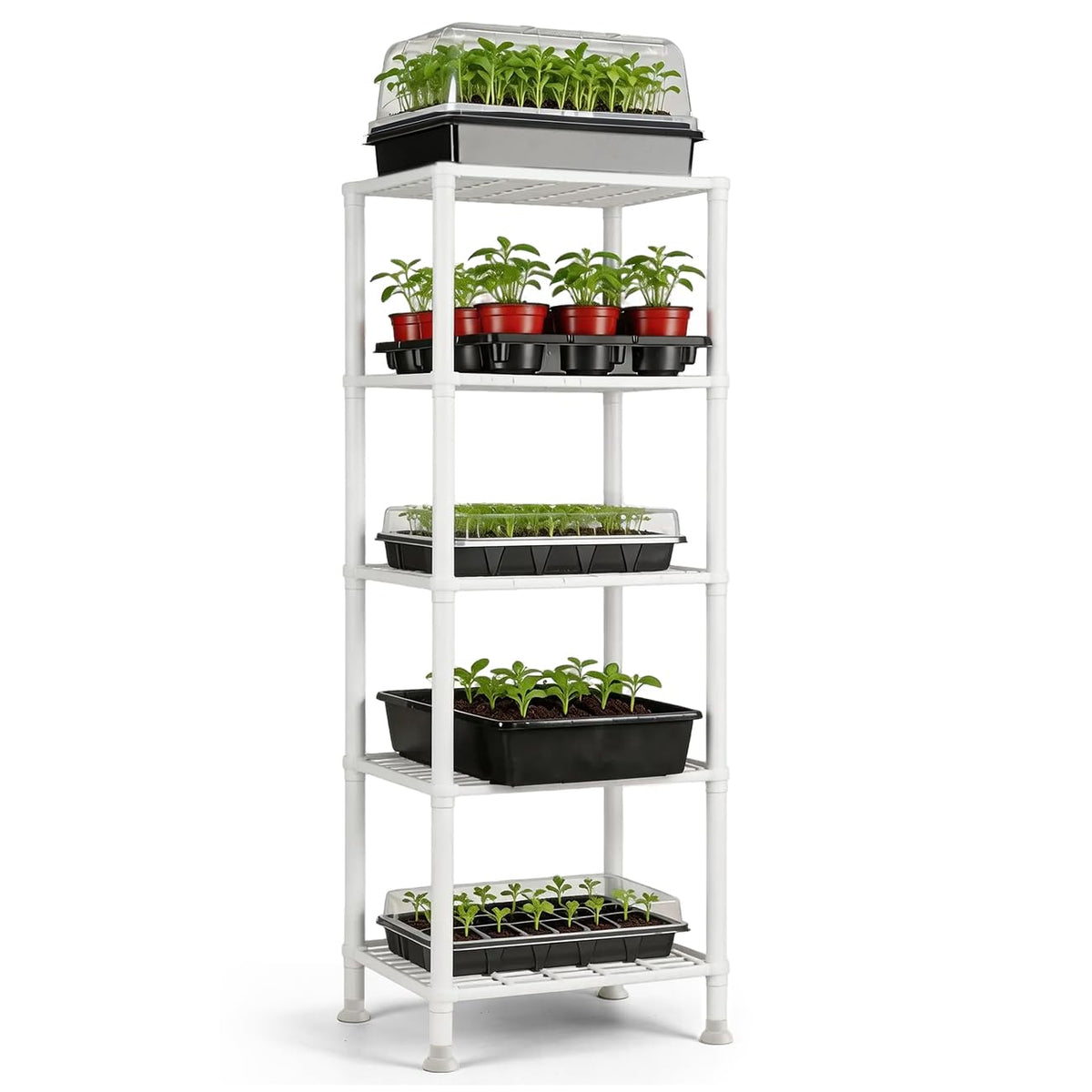 BTPLASTIK Plastic Plant Stand, Universal Plant Seedling Tray Organizer