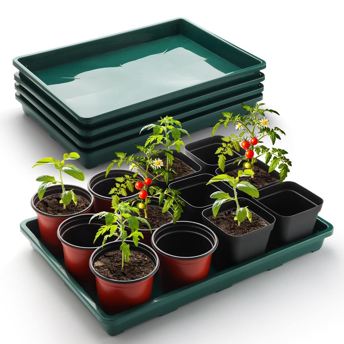 RooTrimmer Square Nursery Pot Tray with 24 Cells, 5 Pack Plant Trays for Pots, Flower Pot Moving Tray, Plastic Planting Tray for Carrying Small Plant Pots(120 Cells in Total
