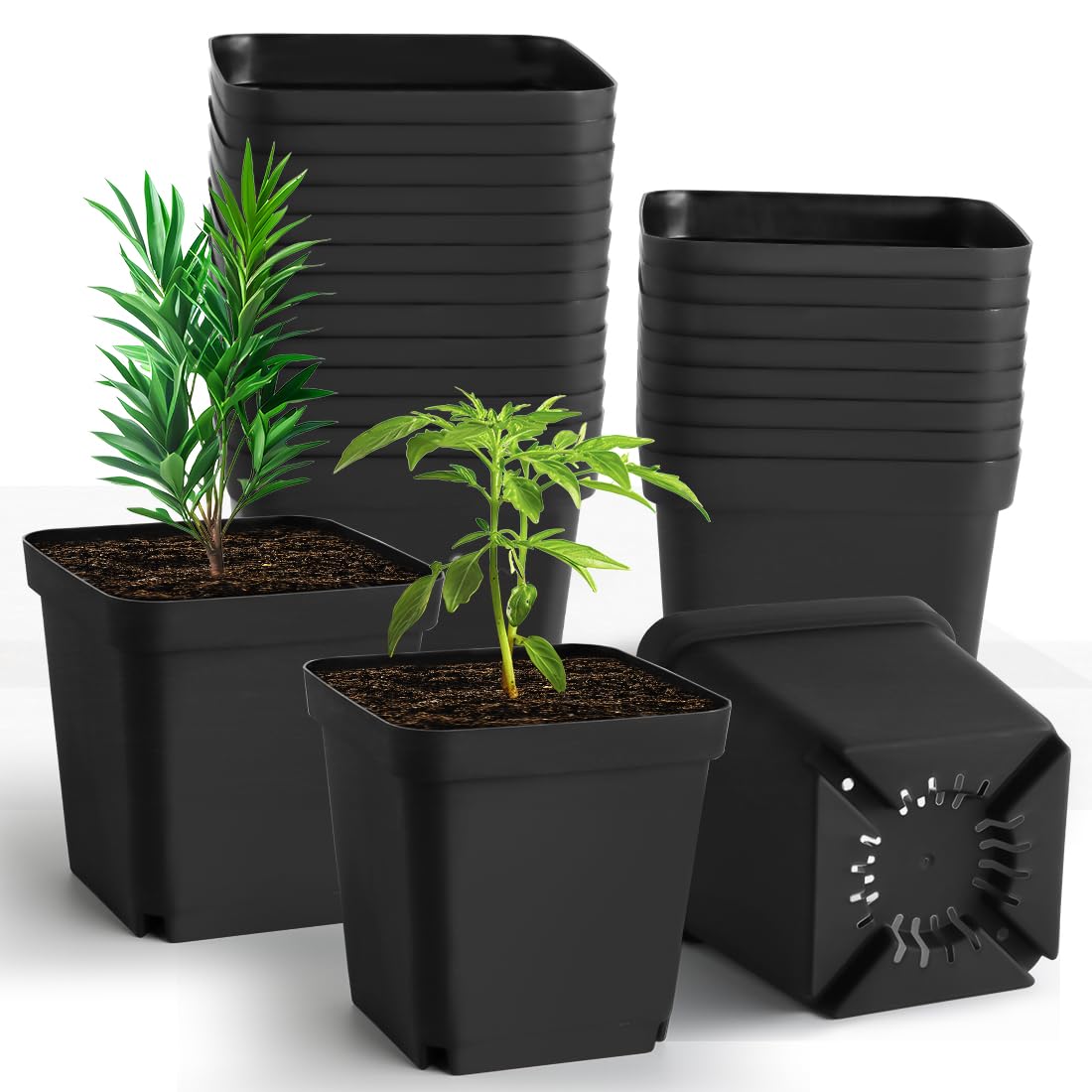 RooTrimmer 120 Packs Square Clear Nursery Pots with Drainage, 2.7 Inch Plastic Seedling Pots for Indoor Plants, Thickened Small Transplant Pot for Seed Starting Succulents Vegetables Lettuce Flowers